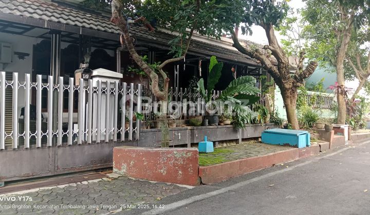 RUMAH ETNIK DAN KOKOH SIAP DIPINANG DI KETILENG SEMARANG 1