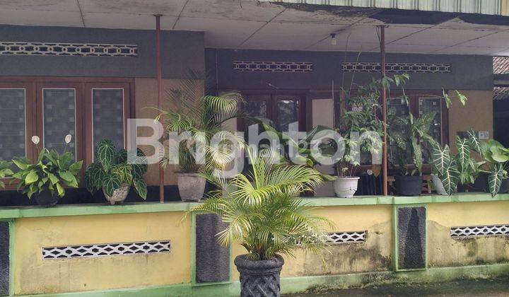 DI JUAL RUMAH SHM DI TENGAH KOTA KLATEN 1