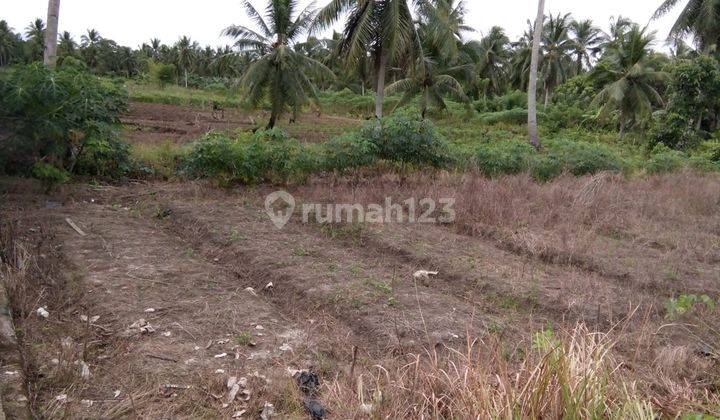 Dijual Tanah Luas Lokasi Strategis Dua Jam Ke Ikn Di Penajam Kuaro, Kalimantan Timur 1