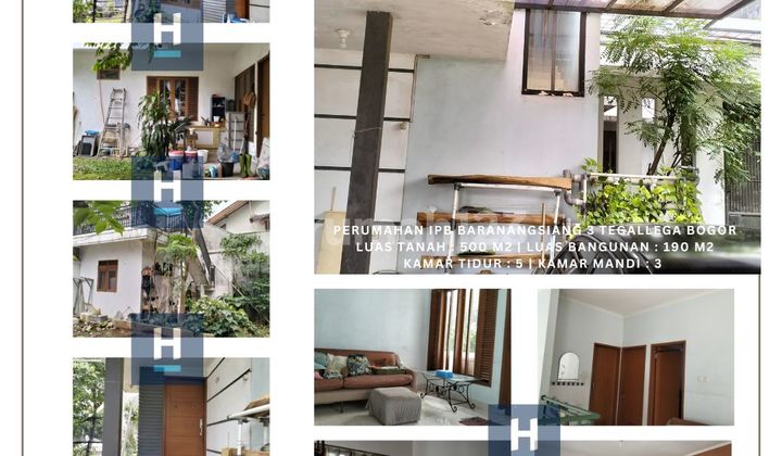 Rumah 2 Lantai Halaman Luas KIPP IPB Baranangsiang 3 Tegallega Bogor Tengah