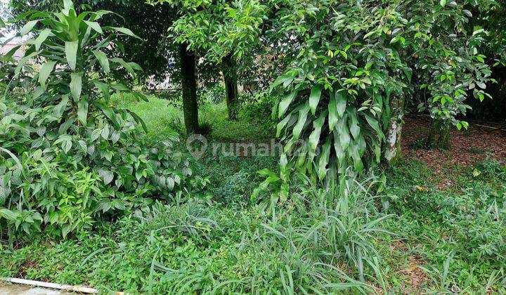 Dijual Tanah Kavling di Jalan Tamansari Bogor  2