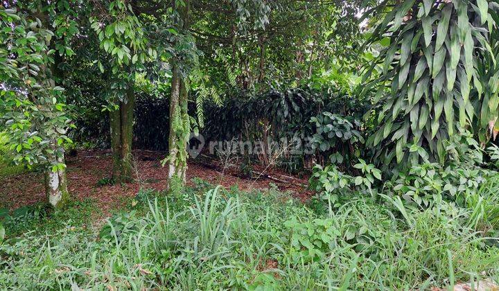 Dijual Tanah Kavling di Jalan Tamansari Bogor  3