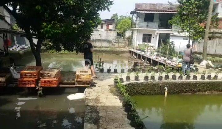Dijual Alfamart Atau Tempat Usaha di Jalan Cifor Bogor 6