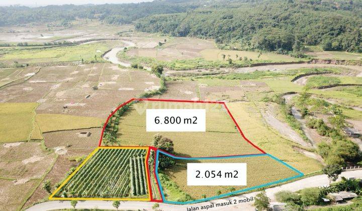 Dijual Dua Sawah 3x Panen Pertahun di Purwakarta Dekat Ke Tol 1