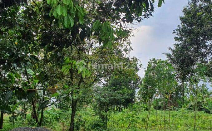 Dijual Tanah di Daerah Kayu Manis Tanah Sareal Kota Bogor 1