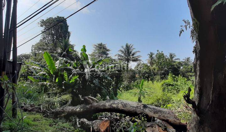 Dijual Tanah di Jalan Sholeh Iskandar Tanah Sareal Kota Bogor 1