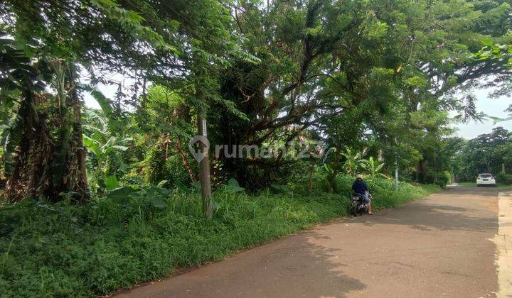 Disewakan Tanah Di Jl. Buldozer Baranangsiang Kota Bogor 2