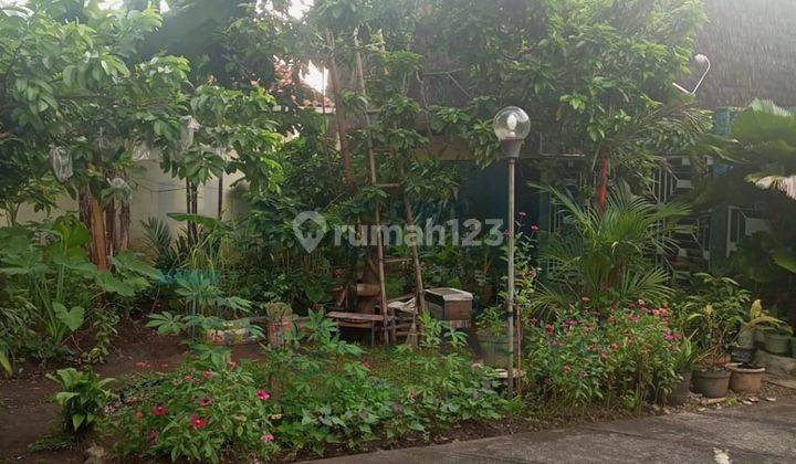 Dijual Rumah 1 Lantai Di Pinggir Jl. Raya Kebon Pedes Kota Bogor 2