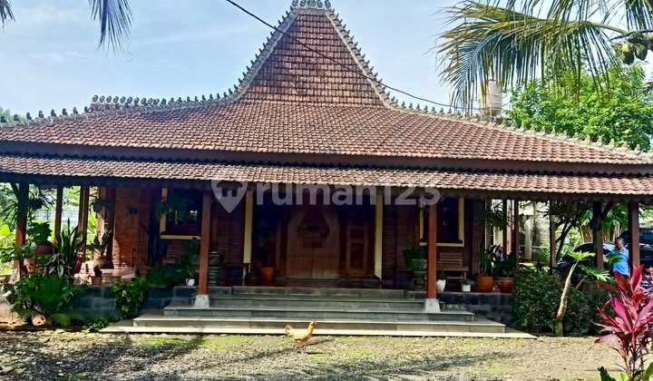  Dijual Rumah Joglo Siap Huni dengan lahan luas di Cimande Caringin (RL) 1