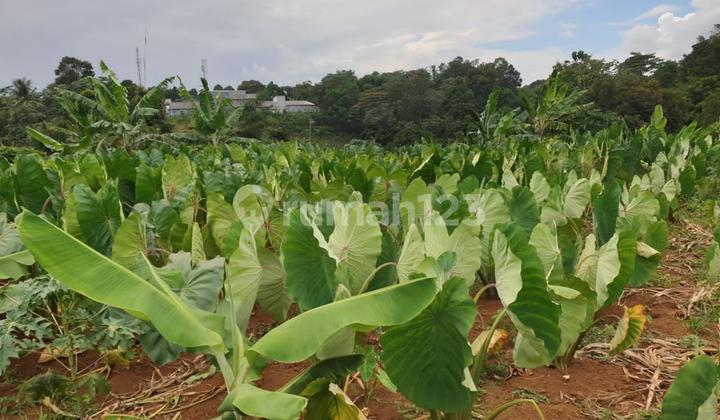 Tanah Strategis di Muara Sari Tajur Bogor Selatan – Peluang Investasi  Terbaik