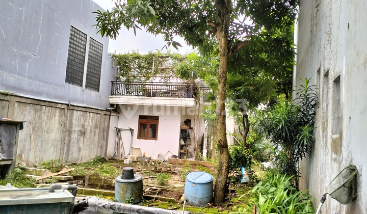 Kavling 246 Meter Persegi KPP IPB Baranangsiang 3 Tegallega Bogor Tengah Kavling 246 Meter Persegi KPP IPB Baranangsiang 3 Tegallega Bogor Tengah