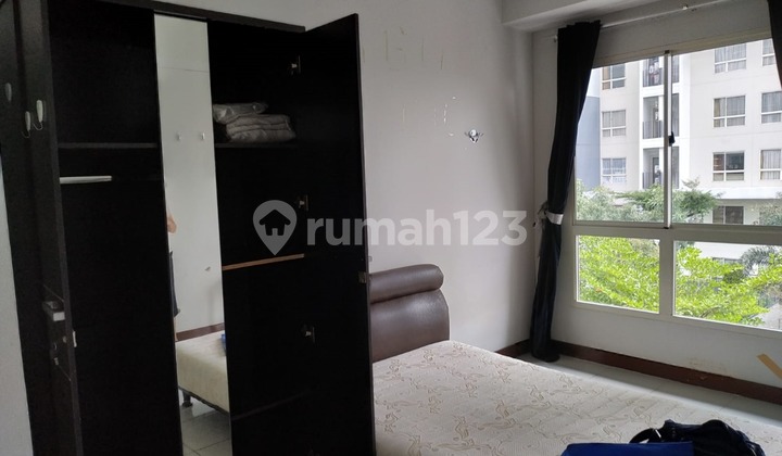 For Rent Scientia Gading Serpong Studio Apartment near UMN