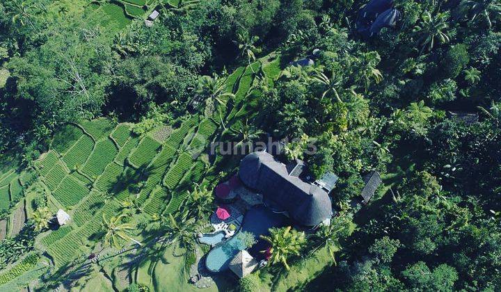 Boutique Villa Resort In Payangan Ubud Area. Cheap 2