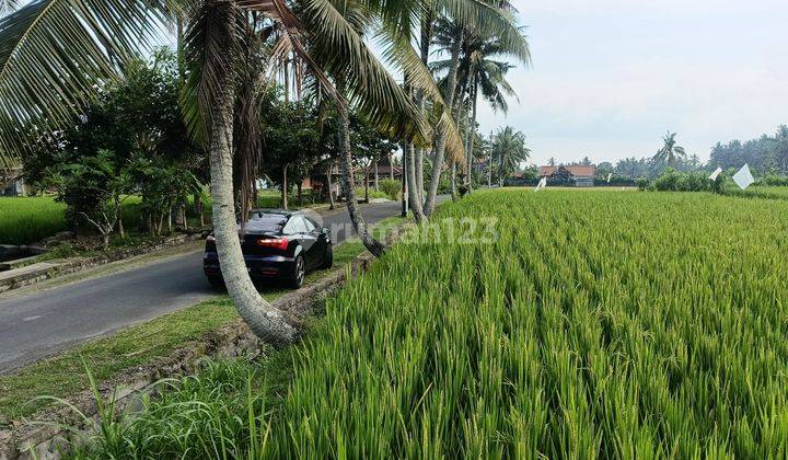 Tanah Sewa View Sawah Dekat Air Terjun di Sumapan, Gianyar 3.000 m² 2