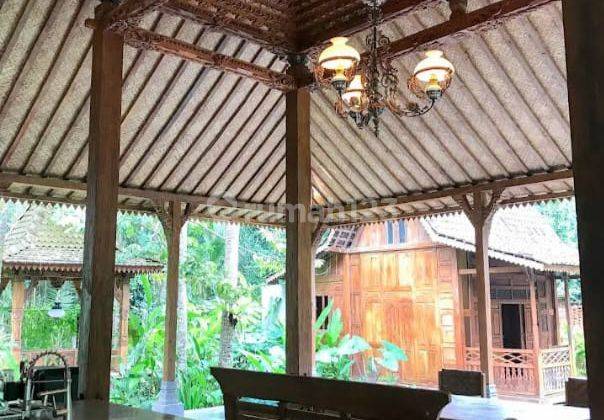 Villa Joglo full Classic di Bongkasa Bagus SHM 1
