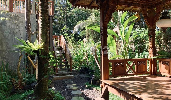 Villa Joglo full Classic di Bongkasa Bagus SHM 9