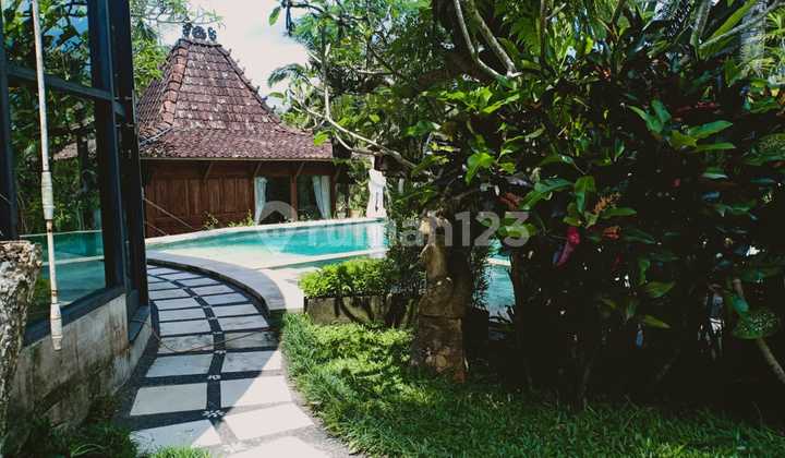 Villa Murah di Jalan Raya Lodtunduh Ubud. SHM Bagus  1