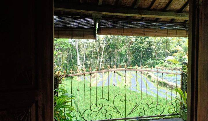 Villa Murah di Jalan Raya Lodtunduh Ubud. SHM Bagus  5