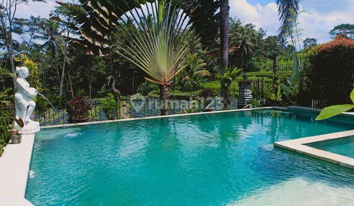 Villa Murah di Jalan Raya Lodtunduh Ubud. SHM Bagus  6