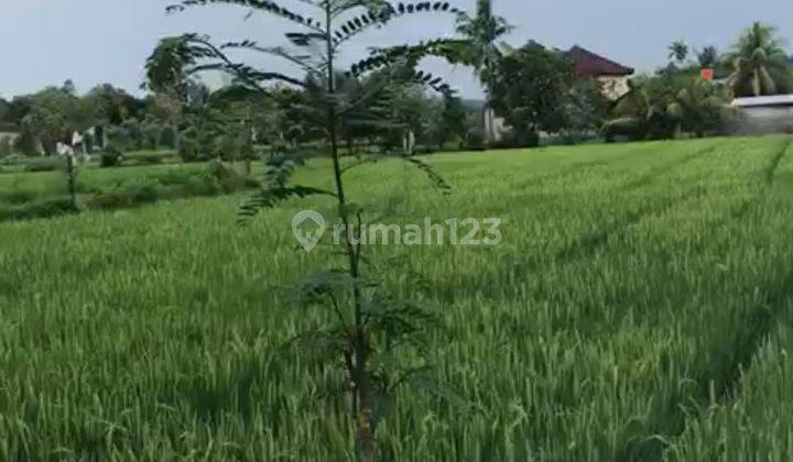 Tanah di Jalan PS. Bertais Lombok Barat  7746 m² SHM 3