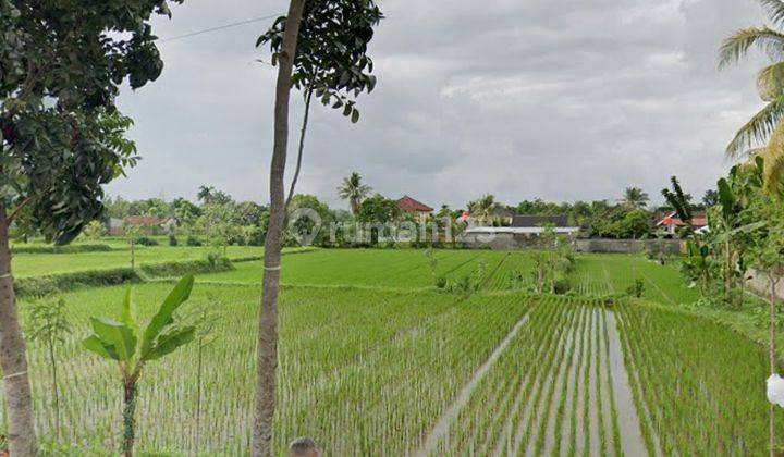 Tanah di Jalan PS. Bertais Lombok Barat  7746 m² SHM 4