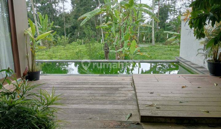 Villa 2 Lantai SHM di Sebatu Gianyar 15
