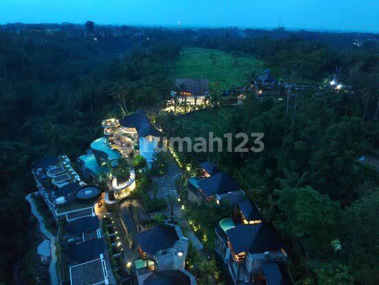 Hotel In Tegalalang, Ubud Gianyar 13