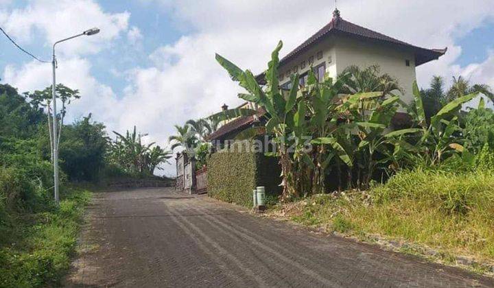 Tanah View Sawah di Munggu Bali 5