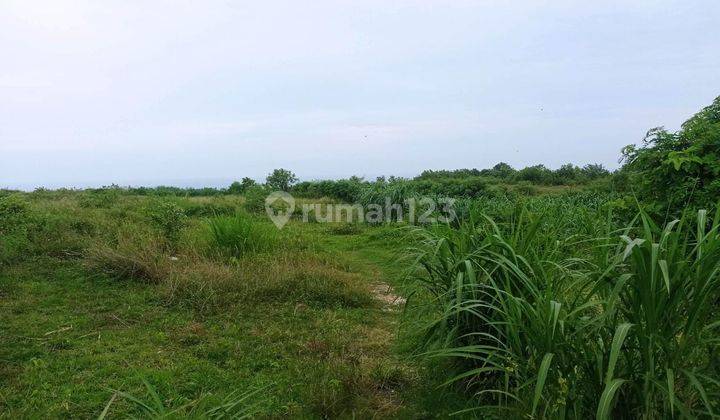 Tanah Los Tebing di Pantai Nyang Nyang Uluwatu Bali 32