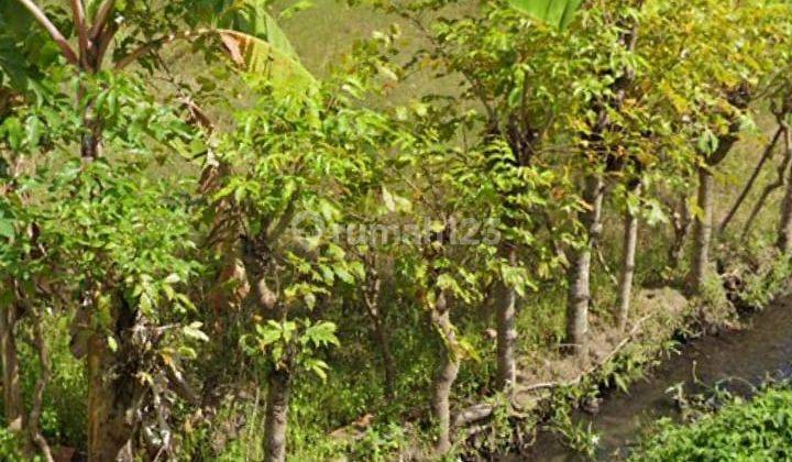 Tanah di Uma Anyar Denpasar Bali 1