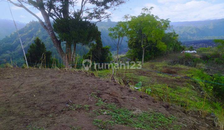 For sale Mountain View Land in Batur Kintamani Bali 1