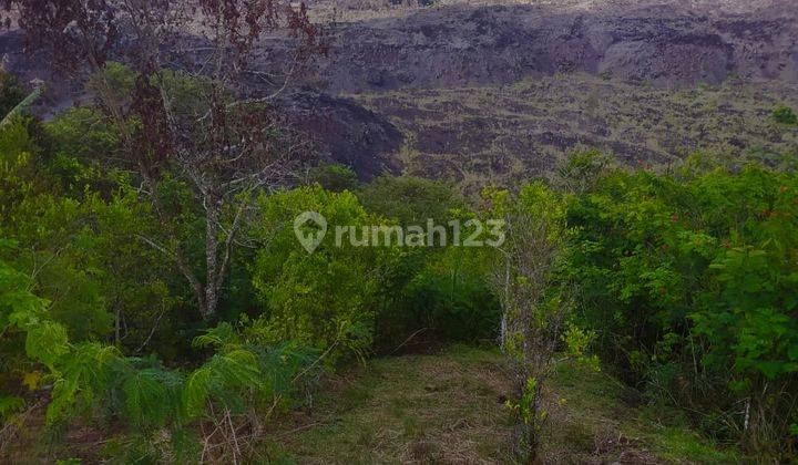 For sale Mountain View Land in Batur Kintamani Bali 2