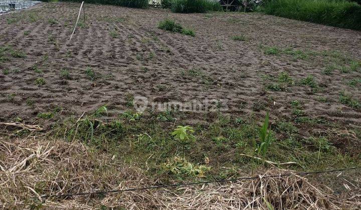 Dijual Tanah Bagus di Kintamani Bangli Bali 3