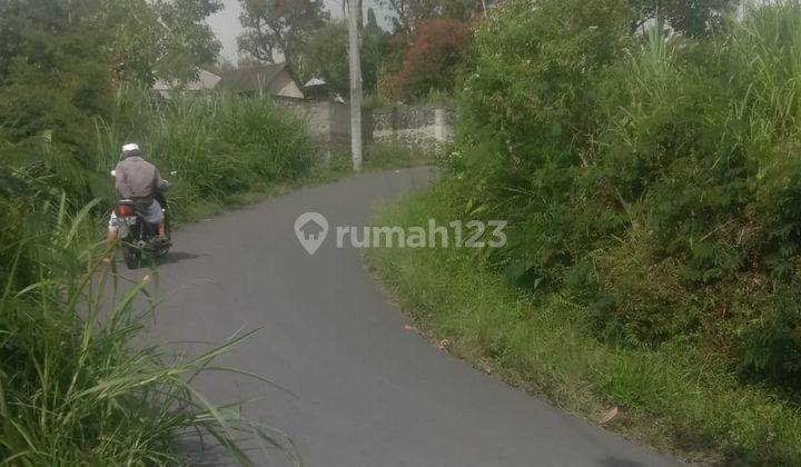 Dijual Tanah View Gunung di Kintamani Bali 2