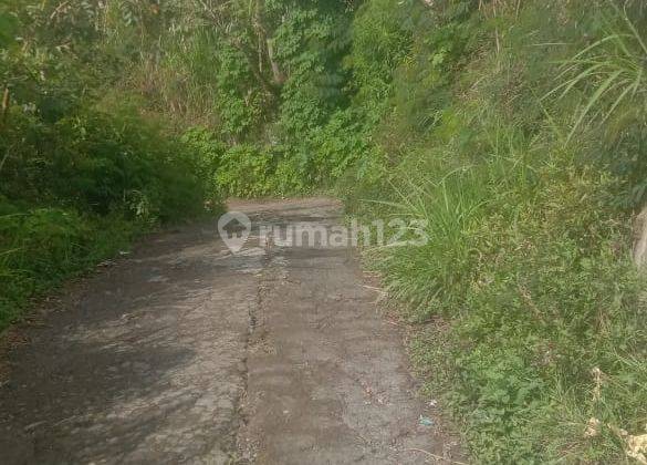 Dijual Tanah View Gunung di Kintamani Bali 5