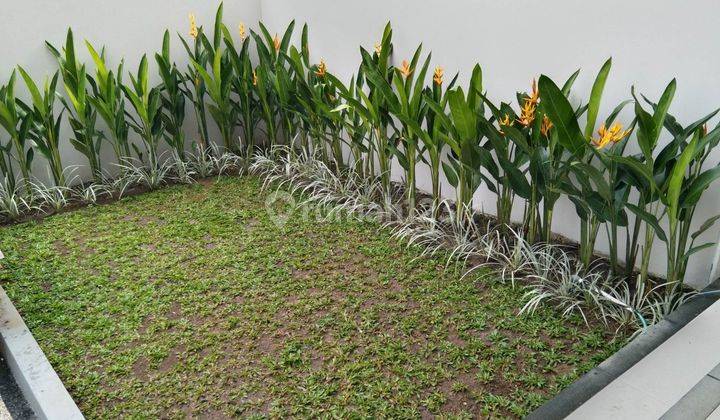 Dijual Rumah View Sawah di Patih Nambi Denpasar Bali 17