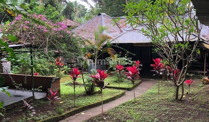 Rare Land for sale Sungai Ayung Bali 1