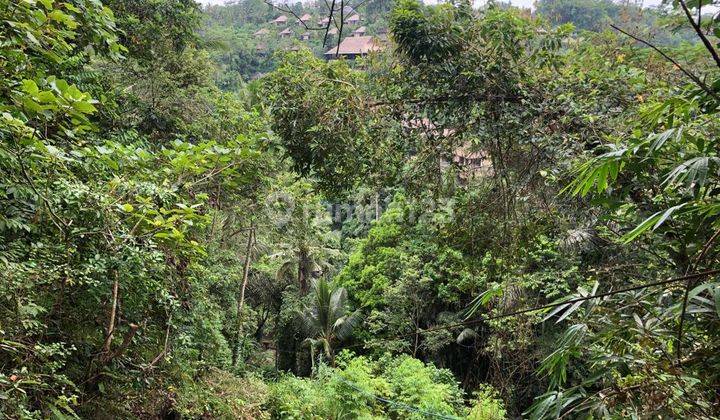 Rare Land for sale Sungai Ayung Bali 2