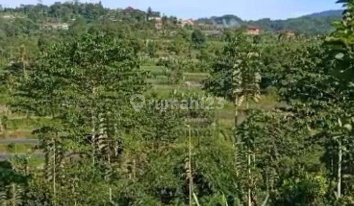 Natural Panorama Land for sale in Bedugul Tabanan Bali 2