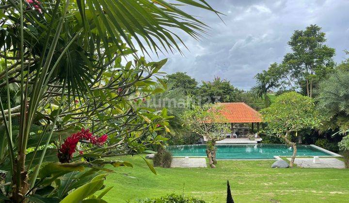 2-storey villa for sale, Pererenan Canggu View Rice Fields 2