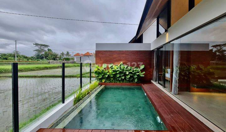 Nice Rice Field View Villa in Ubud, Quiet Environment 1