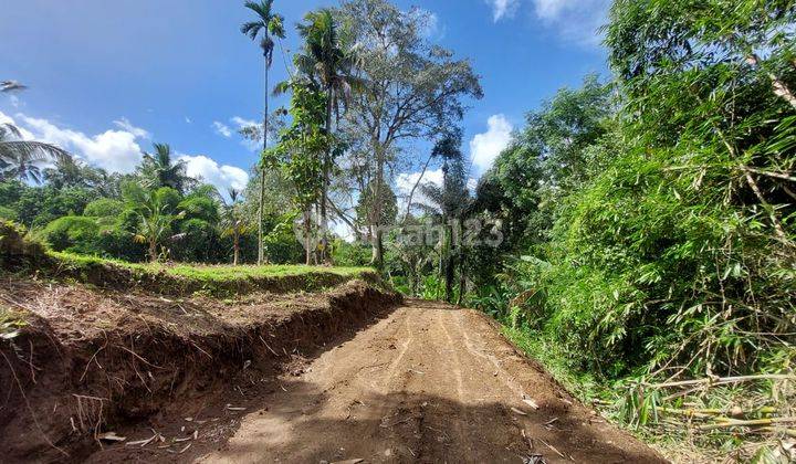 Tanah Siap Bangun di Payangan View Sawah Dan Sungai 2