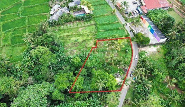 Cheap Land in the Payangan Hotel and Villa Area 1