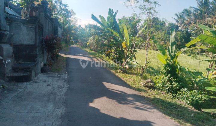 Tanah Murah 1.280 m² dekat Bali Zoo Gianyar Bali  2