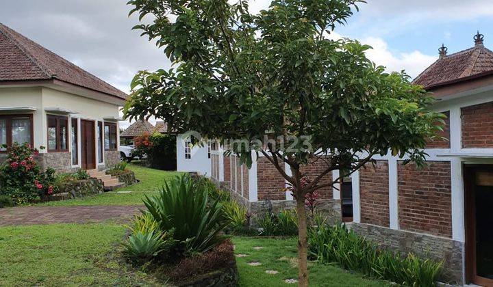 Cottage dan Villa  Murah area Bauriti Tabanan Bali  2