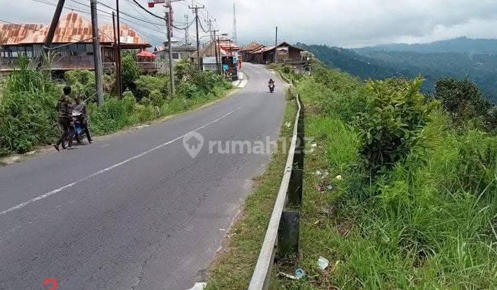 TANAH PREMIUM LANGKA DI AREA KINTAMANI BALI 2