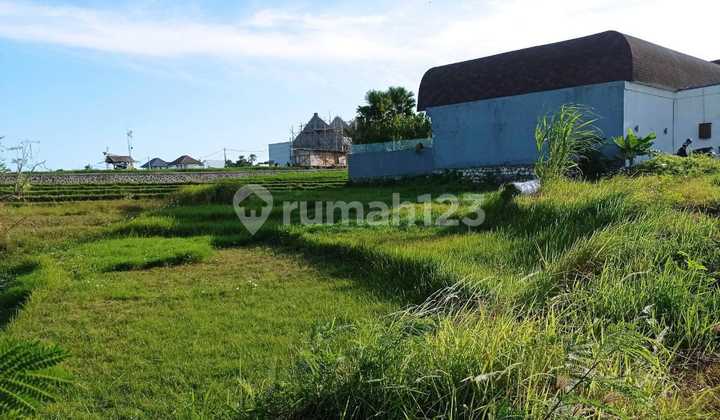 Tanah Super Premium View Sawah di Berawa