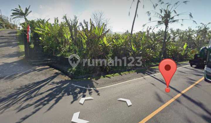 Tanah Premium Jln Utama Denpasar -gilimanuk Selabih Tabanan Tanah Premium Jln Utama Denpasar -gilimanuk Selabih Tabanan