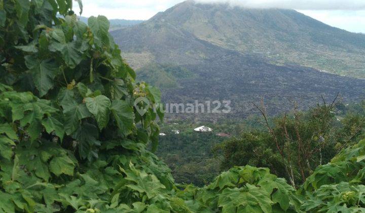 Tanah di Jalan Raya Penelokan, Kintamani Bangli SHM 30.000 m² View Cantik 1