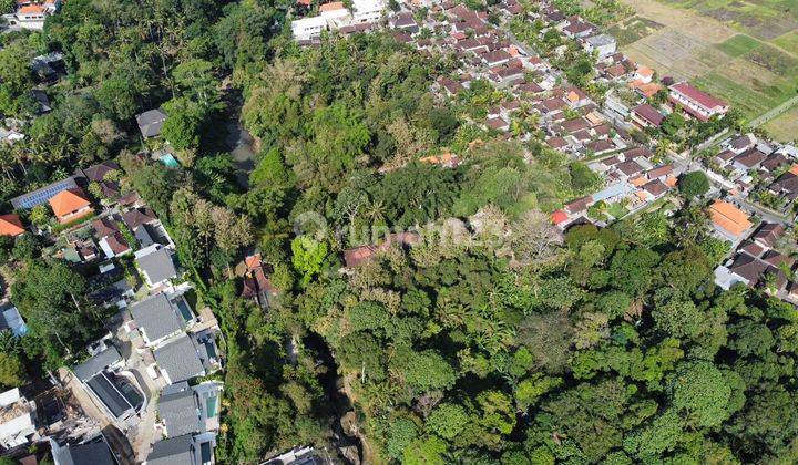 Tanah Murah Cocok Untuk Komplek Villa di Kaba Kaba, Tabanan SHM 5.060 m² 2